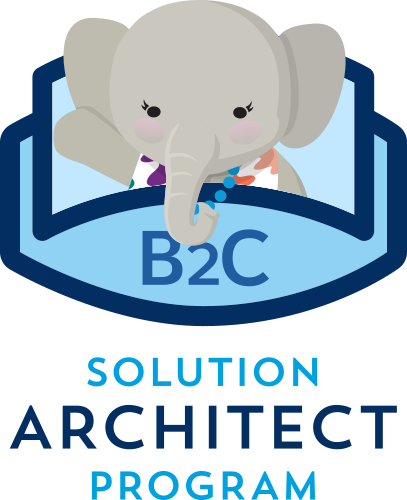 B2C Solution Architect Program